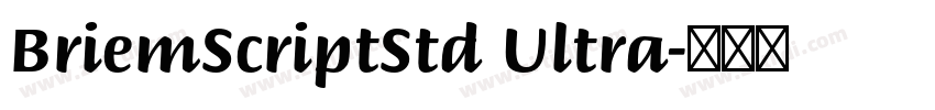 BriemScriptStd Ultra字体转换